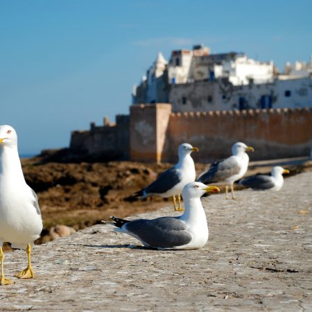 essaouira-1953633_1920